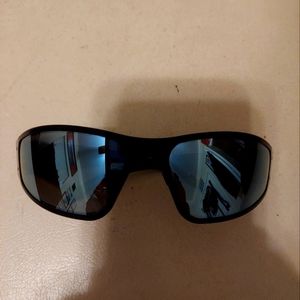 Gatorz wraptor polarized